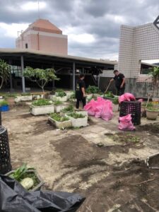 基隆社區大樓頂樓花圃清運