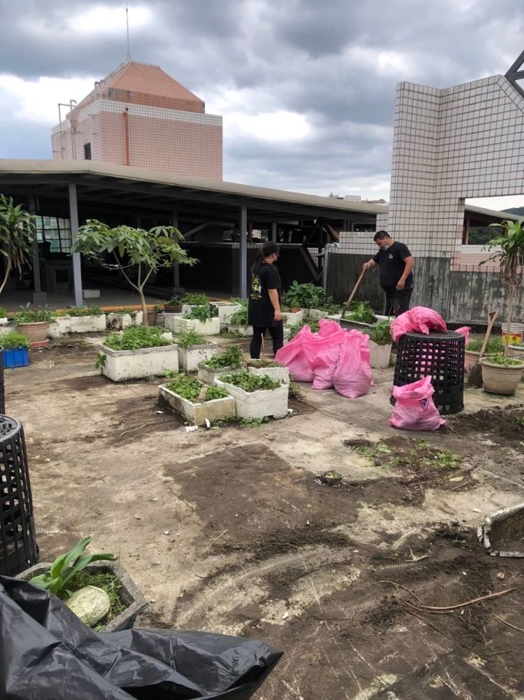 基隆市搬家案例.基隆社區大樓頂樓花圃清運2